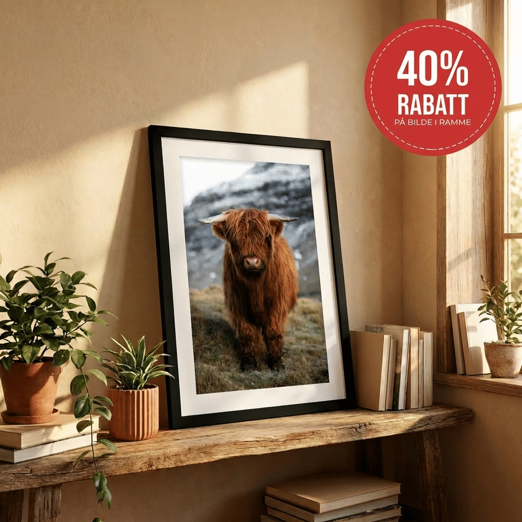 Bilde i ramme