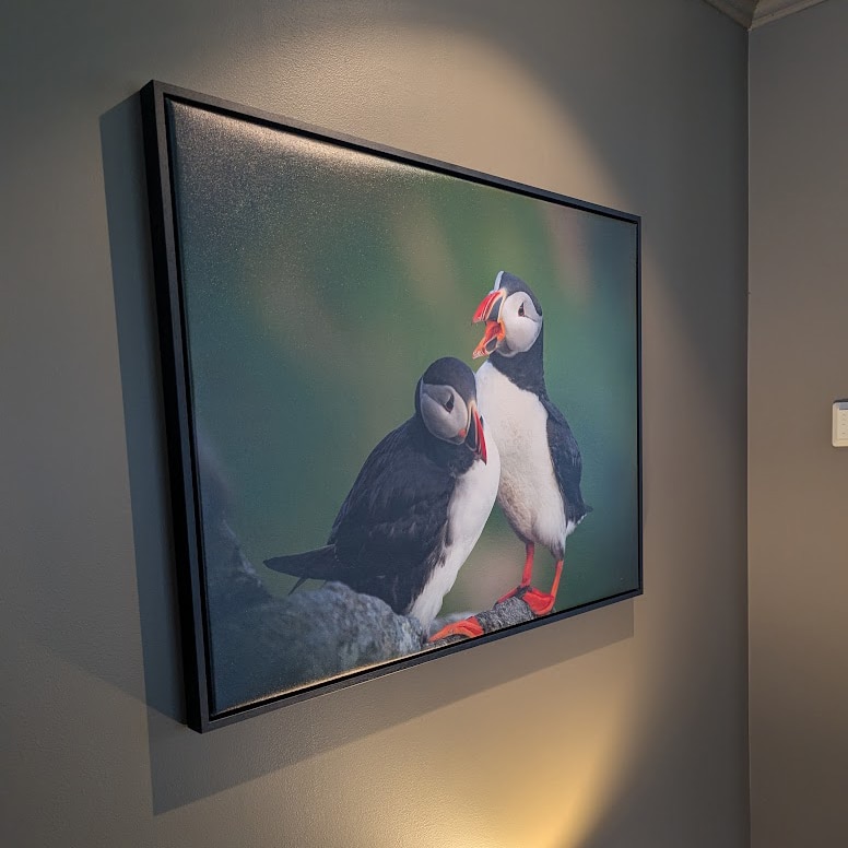 lerretsbilde med sveveramme